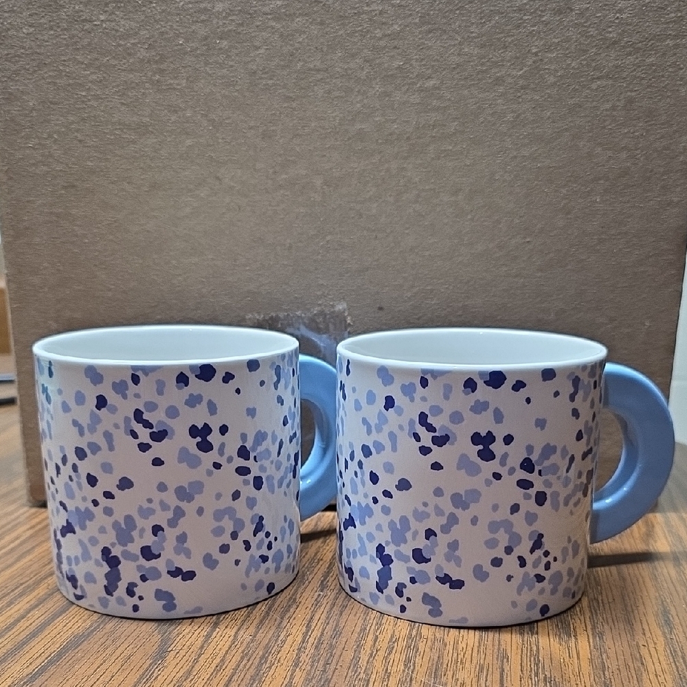Room Essentials Blue and White Patterned Mugs 2pk